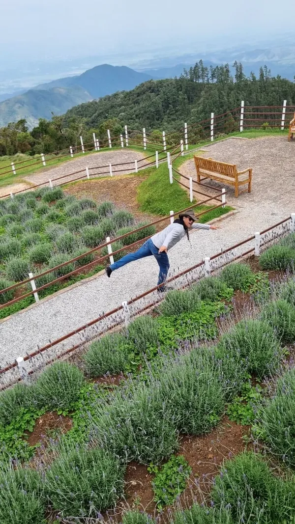 Viajante no mirante de Campos do Jordão