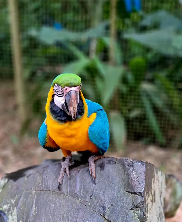 Foz do Iguaçu e região