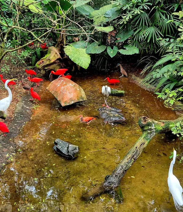 Foz do Iguaçu e região