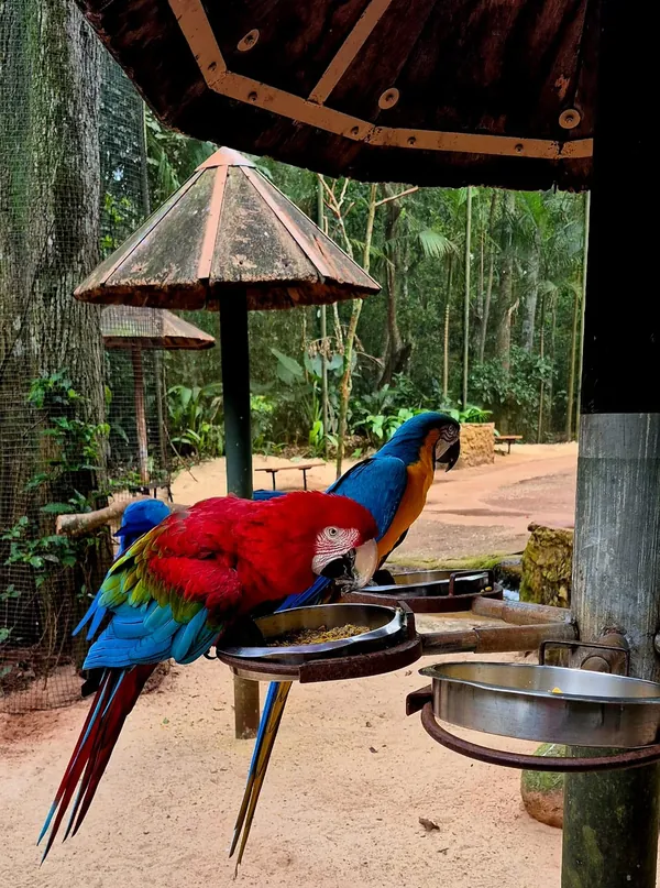 Foz do Iguaçu e região